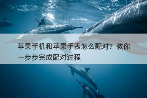 苹果手机和苹果手表怎么配对？教你一步步完成配对过程