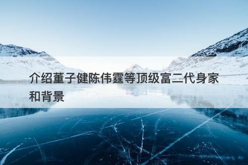 介绍董子健陈伟霆等顶级富二代身家和背景
