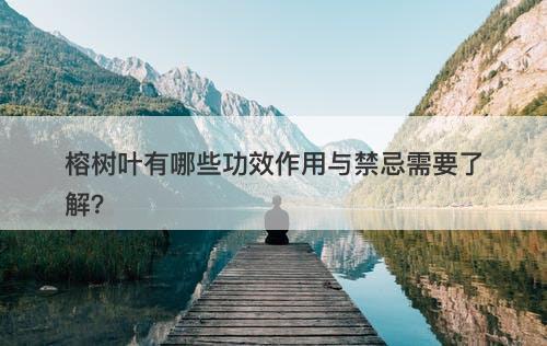 榕树叶有哪些功效作用与禁忌需要了解？