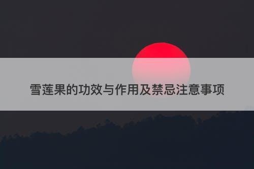 雪莲果的功效与作用及禁忌注意事项