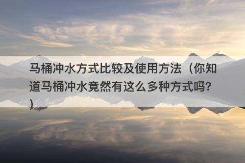 马桶冲水方式比较及使用方法（你知道马桶冲水竟然有这么多种方式吗？）