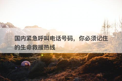 国内紧急呼叫电话号码，你必须记住的生命救援热线