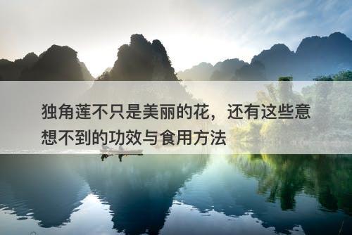 独角莲不只是美丽的花,还有这些意想不到的功效与食用方法-图1 独角莲不只是美丽的花,还有这些意想不到的功效与食用方法-图1