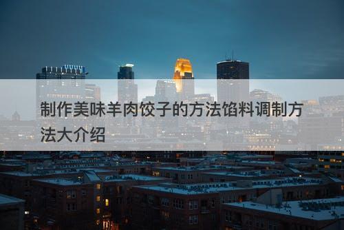 制作美味羊肉饺子的方法馅料调制方法大介绍