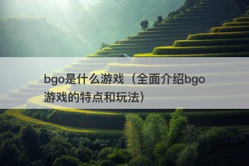 bgo是什么游戏（全面介绍bgo游戏的特点和玩法）