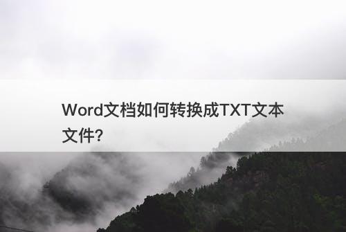 Word文档如何转换成TXT文本文件？-图1