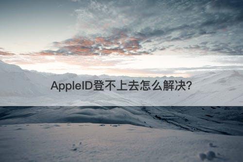 AppleID登不上去怎么解决？