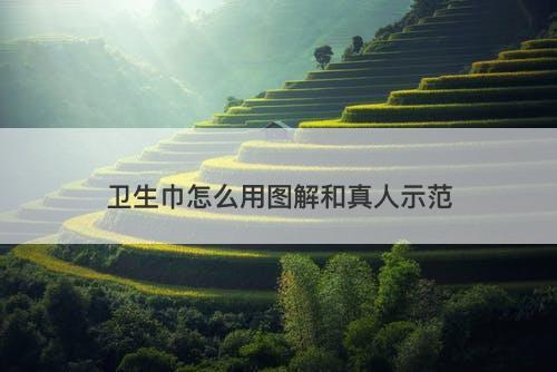 卫生巾怎么用图解和真人示范