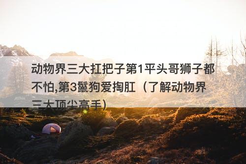 动物界三大扛把子第1平头哥狮子都不怕,第3鬣狗爱掏肛（了解动物界三大顶尖高手）