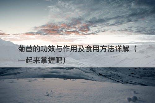 菊苣的功效与作用及食用方法详解（一起来掌握吧）