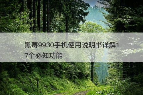 黑莓9930手机使用说明书详解17个必知功能