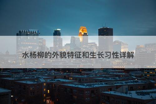 水杨柳的外貌特征和生长习性详解