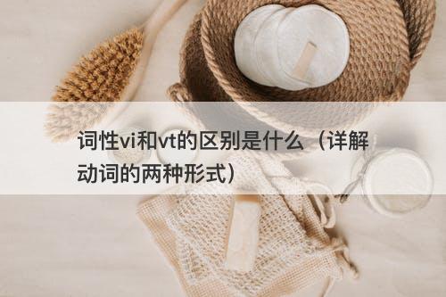 词性vi和vt的区别是什么（详解动词的两种形式）
