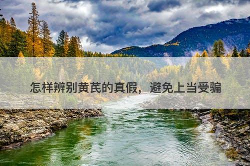 怎样辨别黄芪的真假，避免上当受骗