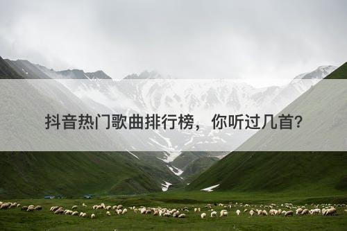 抖音热门歌曲排行榜，你听过几首？