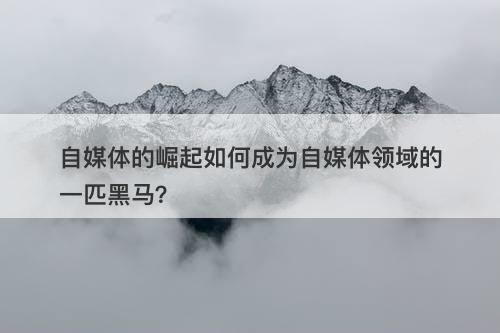 自媒体的崛起如何成为自媒体领域的一匹黑马？