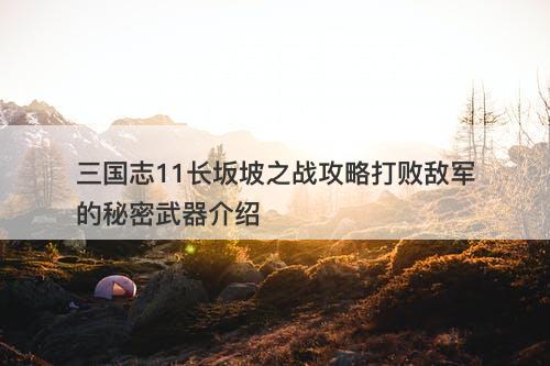 三国志11长坂坡之战攻略打败敌军的秘密武器介绍