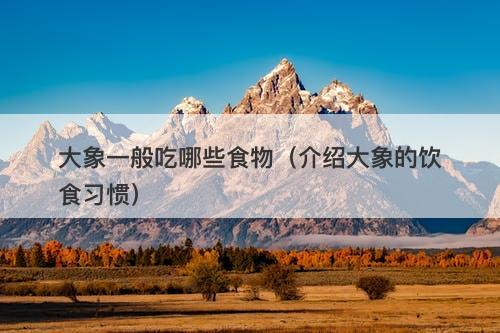 大象一般吃哪些食物（介绍大象的饮食习惯）