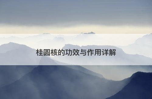 桂圆核的功效与作用详解