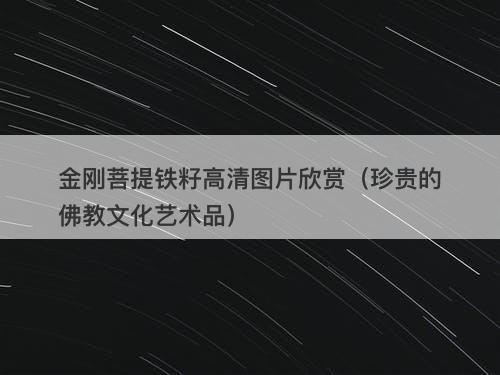 金刚菩提铁籽高清图片欣赏（珍贵的佛教文化艺术品）