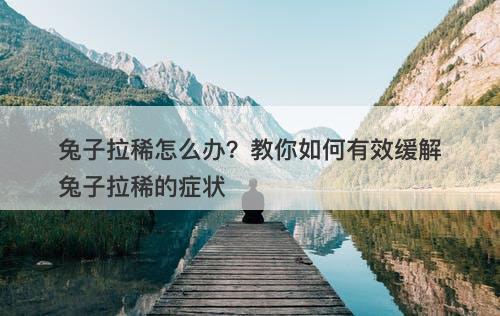 兔子拉稀怎么办？教你如何有效缓解兔子拉稀的症状