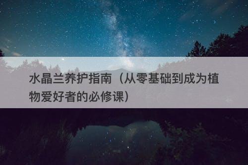 水晶兰养护指南（从零基础到成为植物爱好者的必修课）