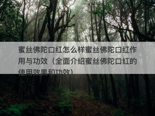 蜜丝佛陀口红怎么样蜜丝佛陀口红作用与功效（全面介绍蜜丝佛陀口红的使用效果和功效）