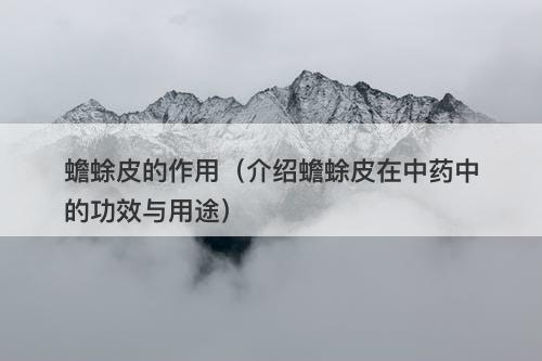 蟾蜍皮的作用（介绍蟾蜍皮在中药中的功效与用途）
