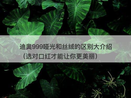 迪奥999哑光和丝绒的区别大介绍（选对口红才能让你更美丽）