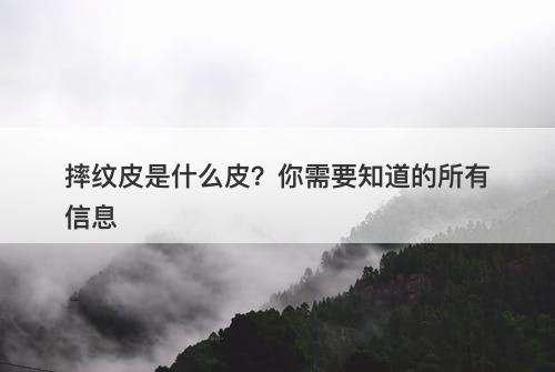 摔纹皮是什么皮？你需要知道的所有信息