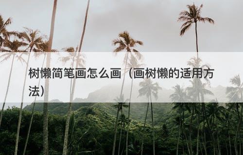树懒简笔画怎么画（画树懒的适用方法）