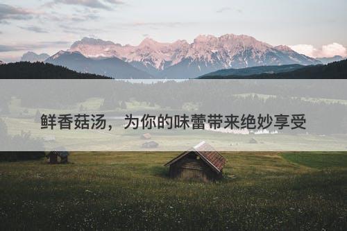 鲜香菇汤，为你的味蕾带来绝妙享受