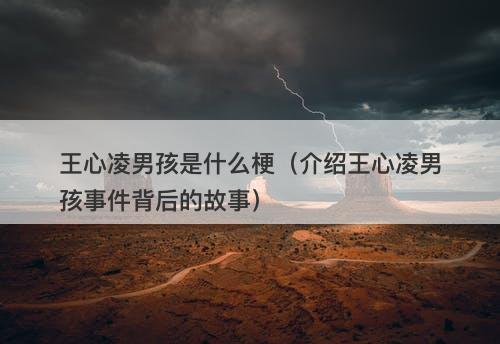 王心凌男孩是什么梗（介绍王心凌男孩事件背后的故事）