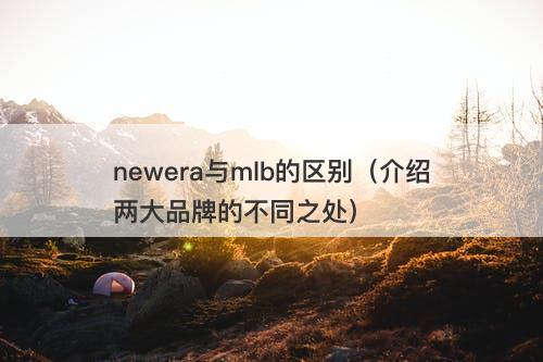 newera与mlb的区别（介绍两大品牌的不同之处）