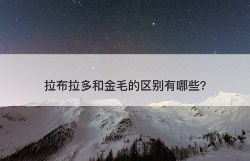 拉布拉多和金毛的区别有哪些？