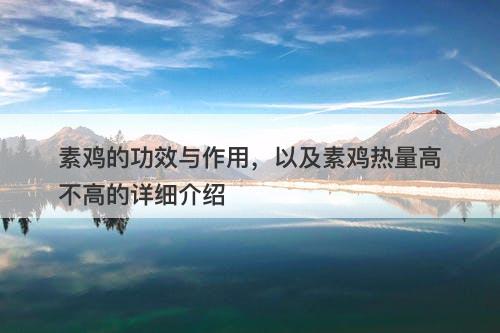 素鸡的功效与作用，以及素鸡热量高不高的详细介绍
