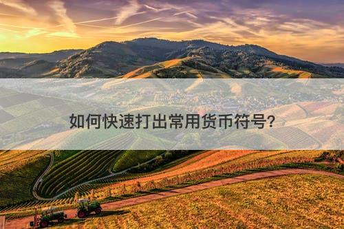 如何快速打出常用货币符号？