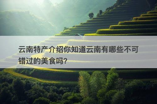 云南特产介绍你知道云南有哪些不可错过的美食吗？