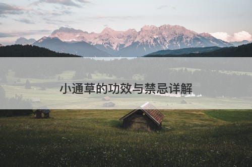 小通草的功效与禁忌详解