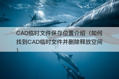 CAD临时文件保存位置介绍（如何找到CAD临时文件并删除释放空间）