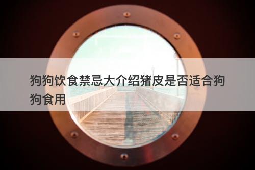 狗狗饮食禁忌大介绍猪皮是否适合狗狗食用