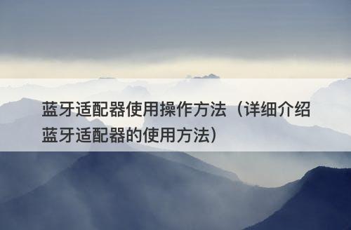 蓝牙适配器使用操作方法（详细介绍蓝牙适配器的使用方法）