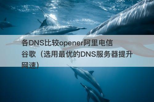 各DNS比较opener阿里电信谷歌（选用最优的DNS服务器提升网速）