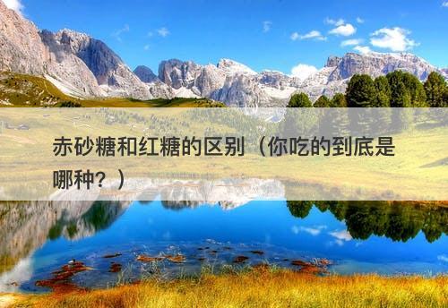 赤砂糖和红糖的区别（你吃的到底是哪种？）