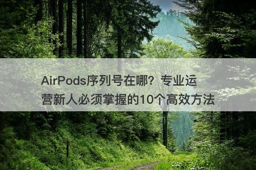 AirPods序列号在哪？专业运营新人必须掌握的10个高效方法
