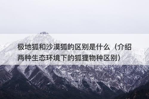 极地狐和沙漠狐的区别是什么（介绍两种生态环境下的狐狸物种区别）