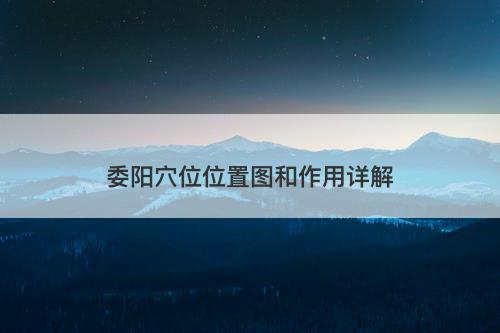 委阳穴位位置图和作用详解