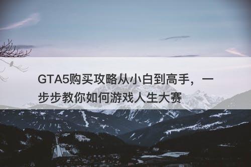 GTA5购买攻略从小白到高手，一步步教你如何游戏人生大赛