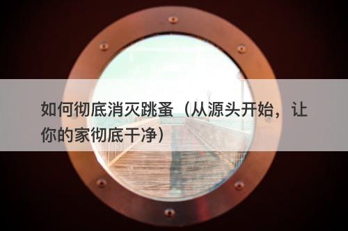 如何彻底消灭跳蚤（从源头开始，让你的家彻底干净）