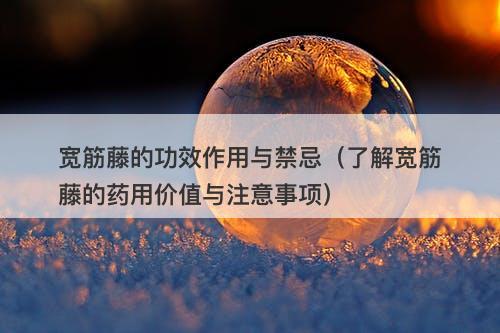 宽筋藤的功效作用与禁忌（了解宽筋藤的药用价值与注意事项）